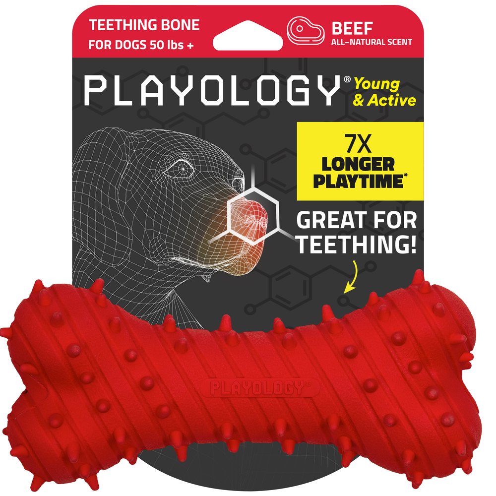Teething Bone - Beef - Large