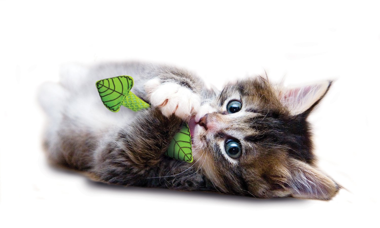 Petstages kattenspeeltje Fresh Breath Mint Stick – Verwijdert tandplak