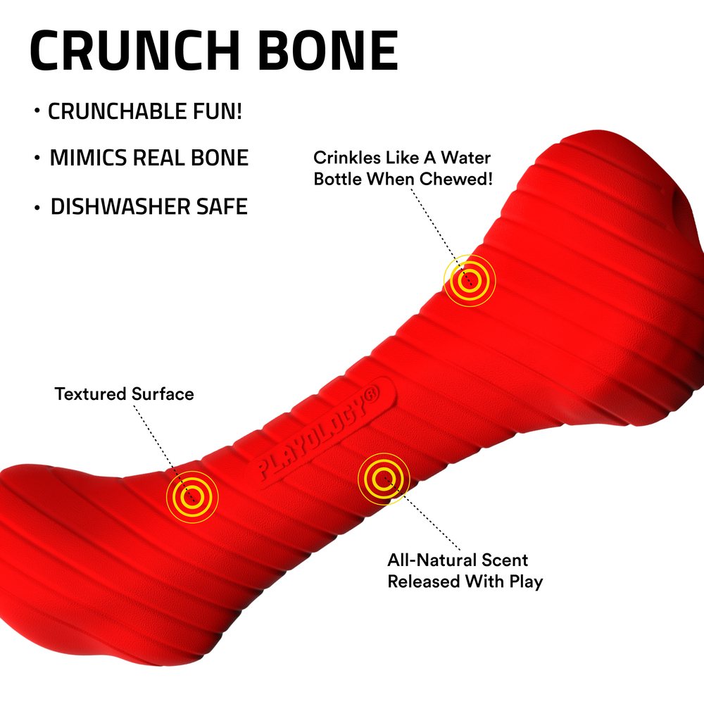 Playology Crunchy Femur kauwspeeltje
