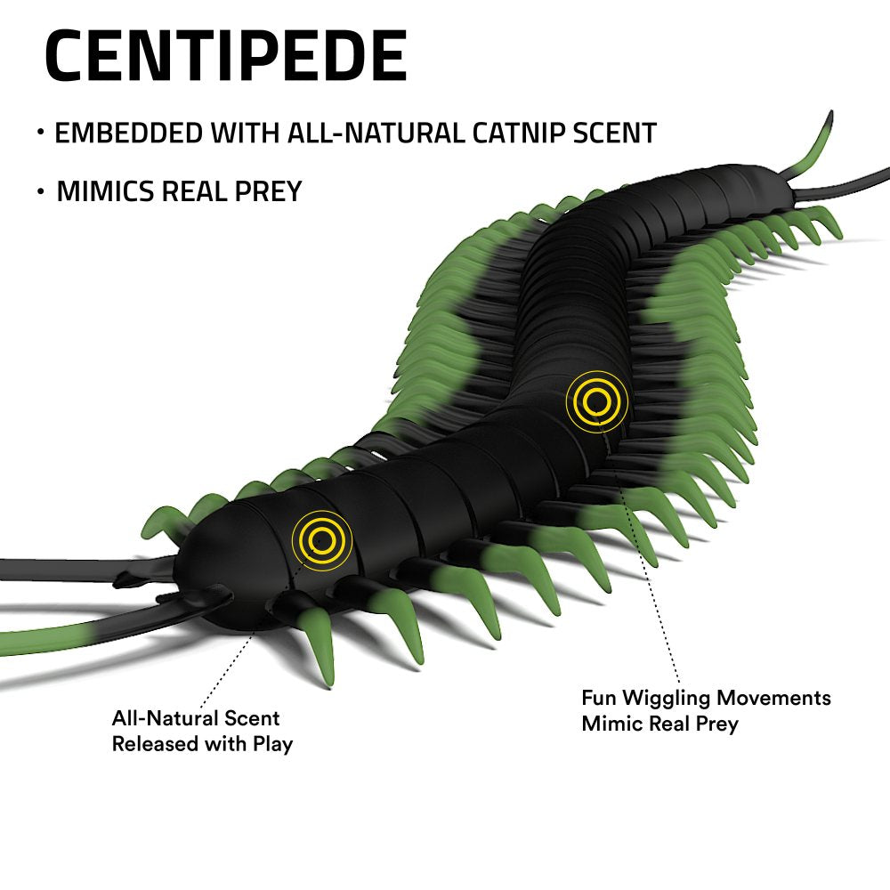Centipede