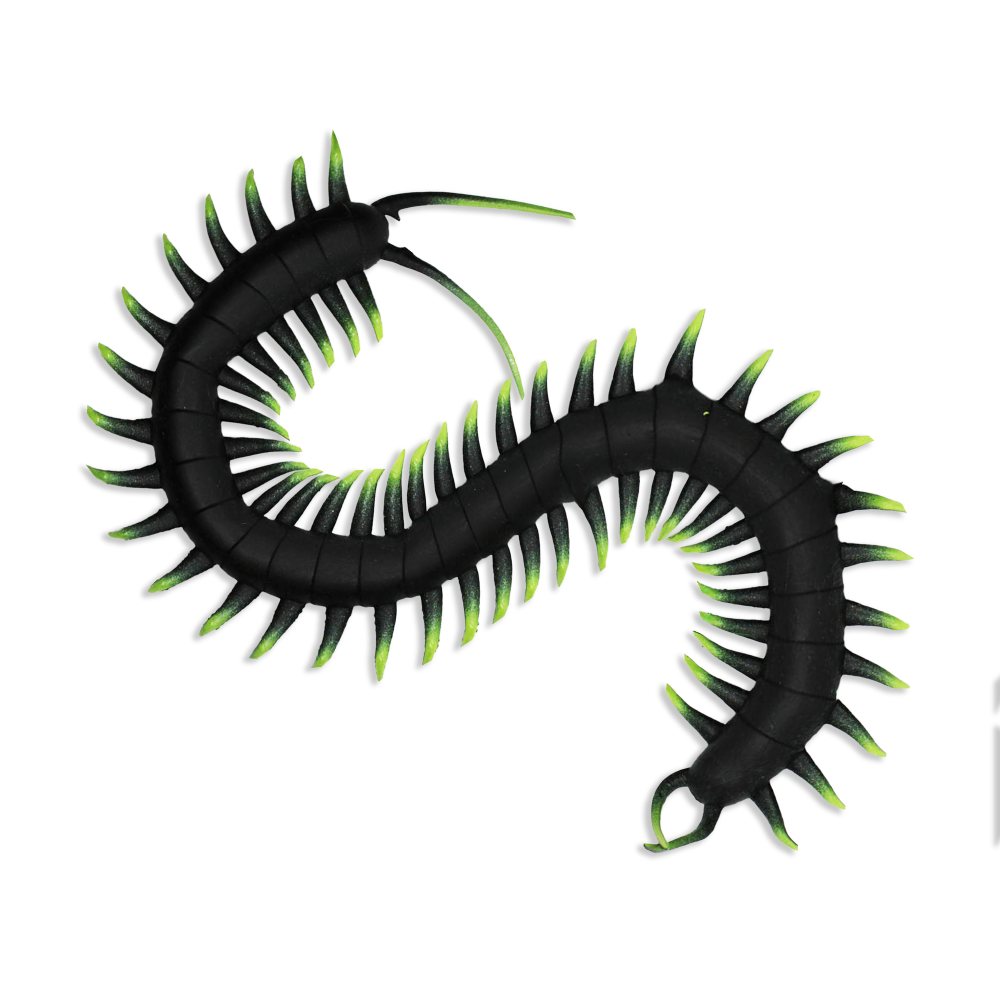 Centipede