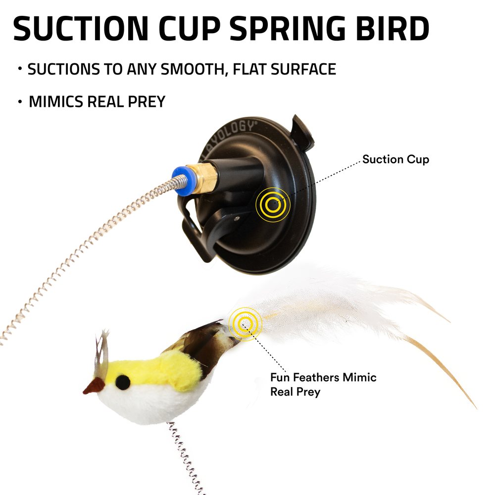 Suction Cup Spring Bird