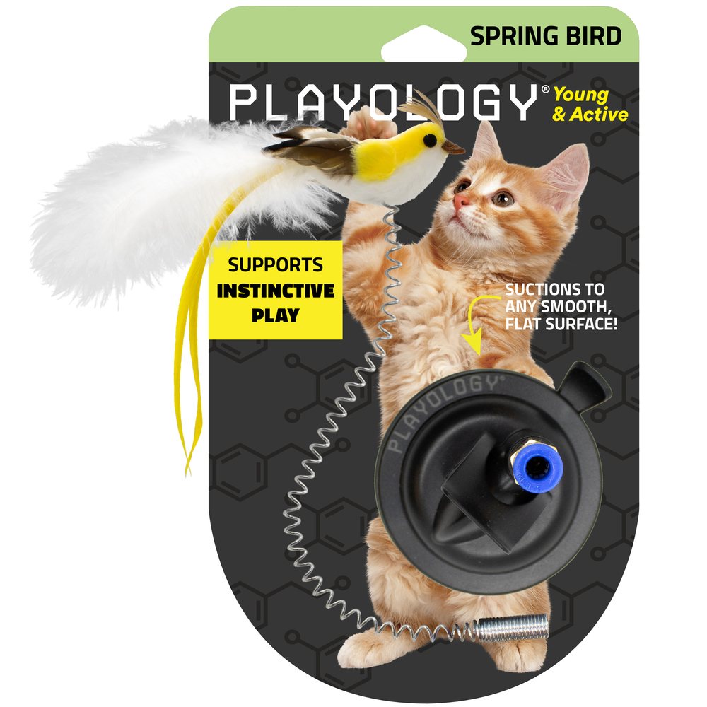 Suction Cup Spring Bird