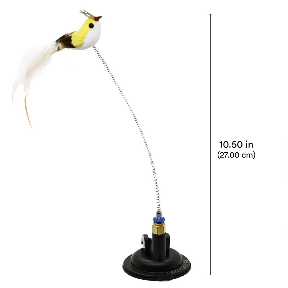 Suction Cup Spring Bird