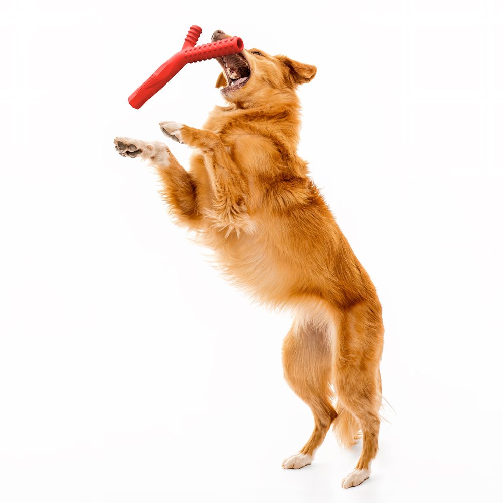 Playology Fetch Stick hondenspeeltje