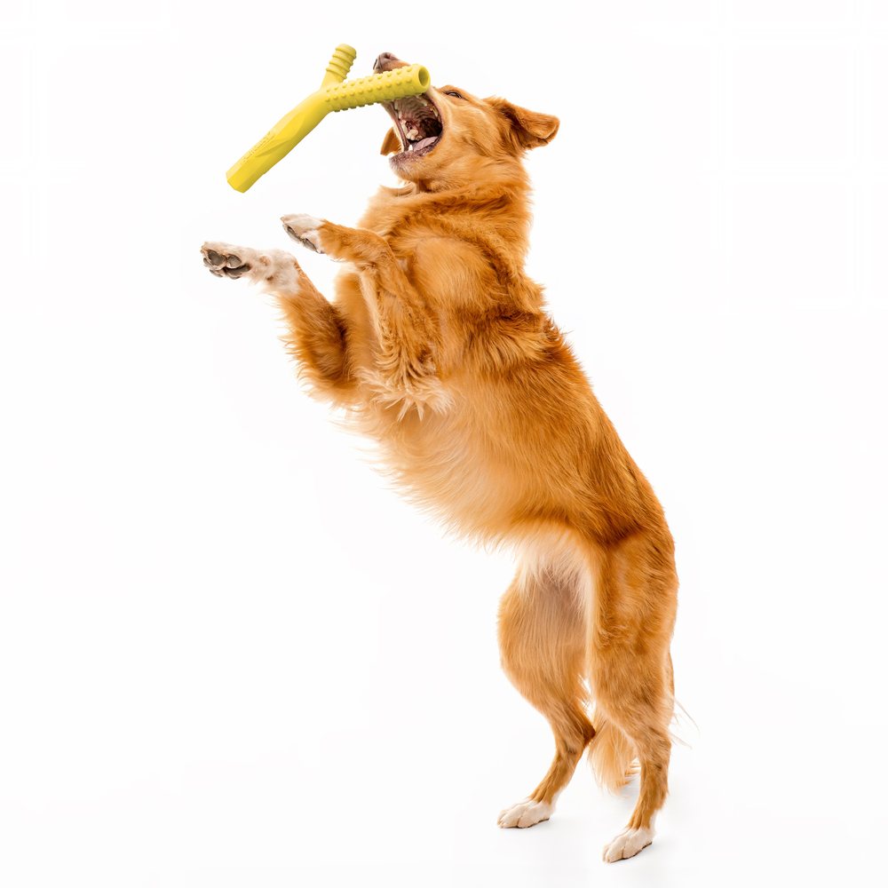 Playology Fetch Stick hondenspeeltje
