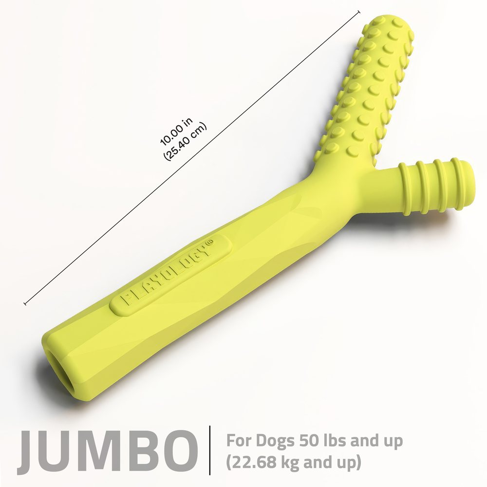 Playology Fetch Stick hondenspeeltje