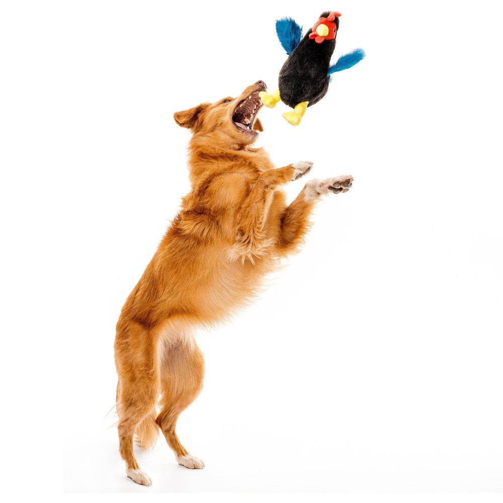 Plush Hen - Chicken - Medium