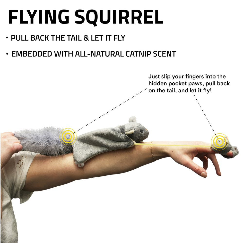Flying Squirrel
