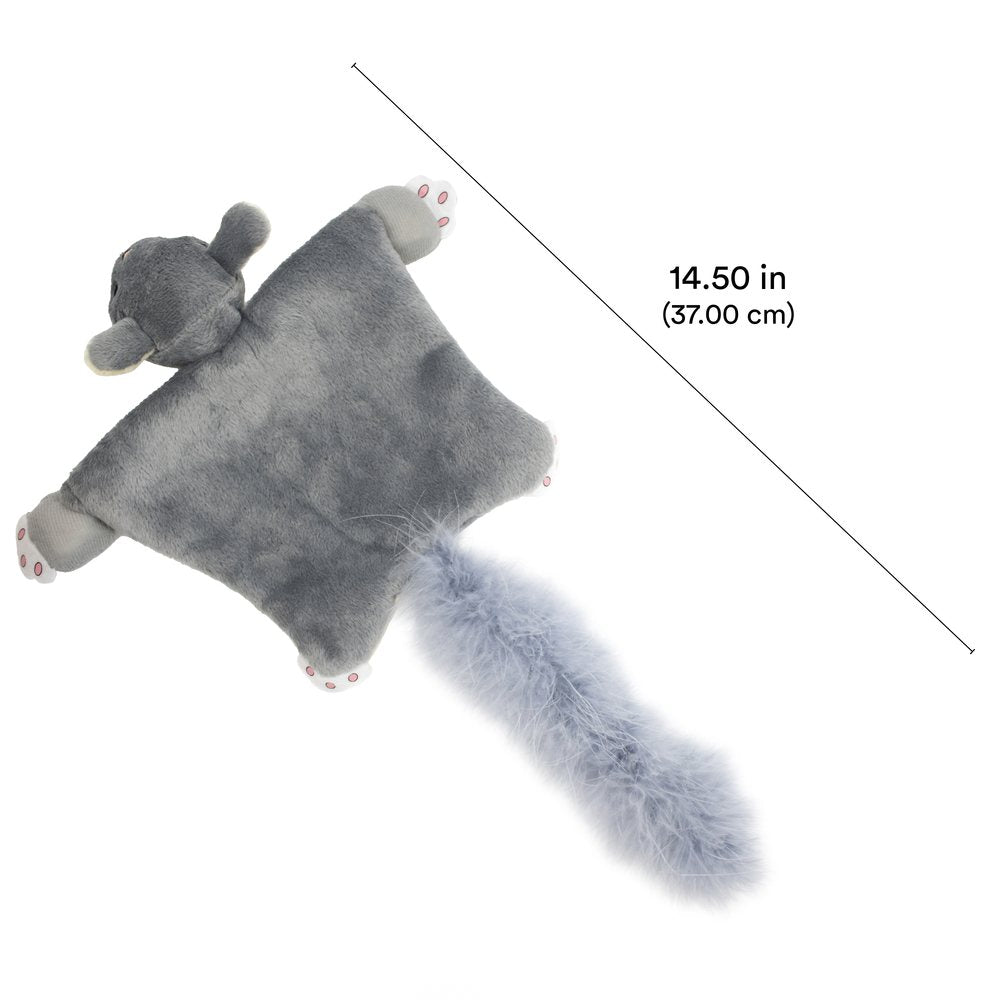 Flying Squirrel