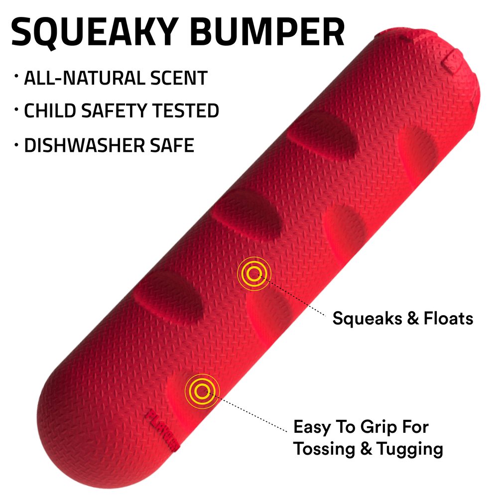 Squeaky Bumper - Beef - Large