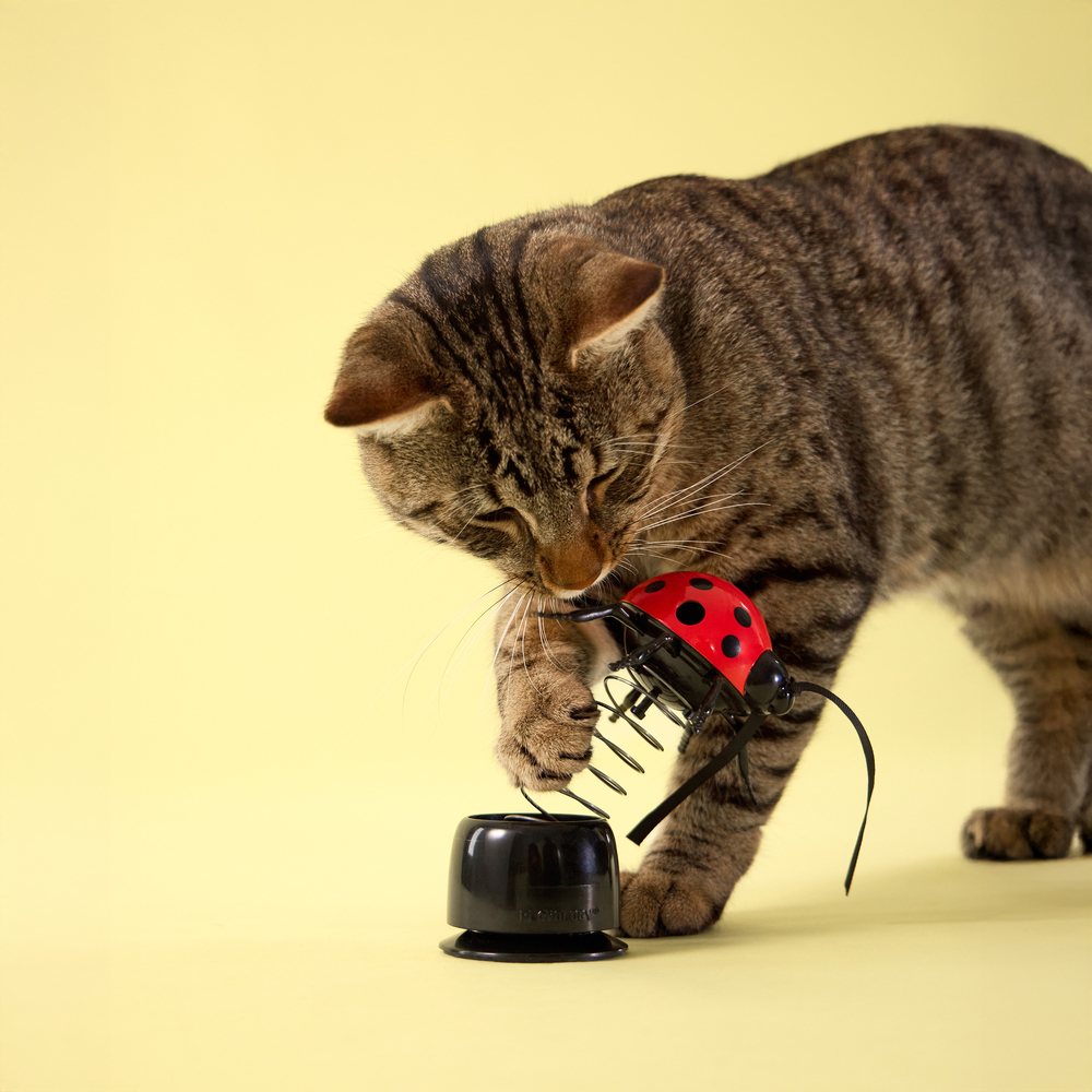 Ladybug Treater