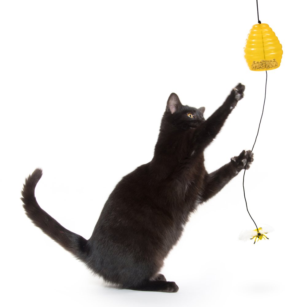 Hanging Beehive Treater