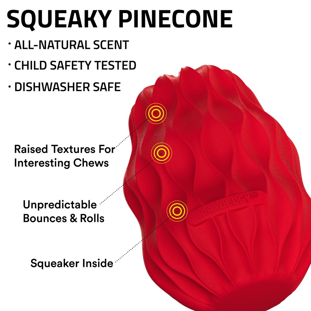 Squeaky Pinecone - Beef - Large
