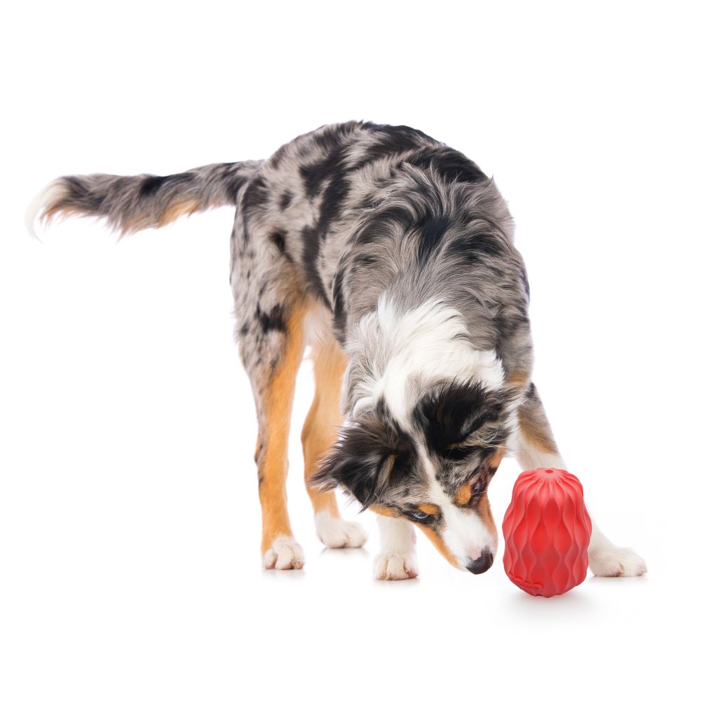 Squeaky Pinecone - Beef - Large