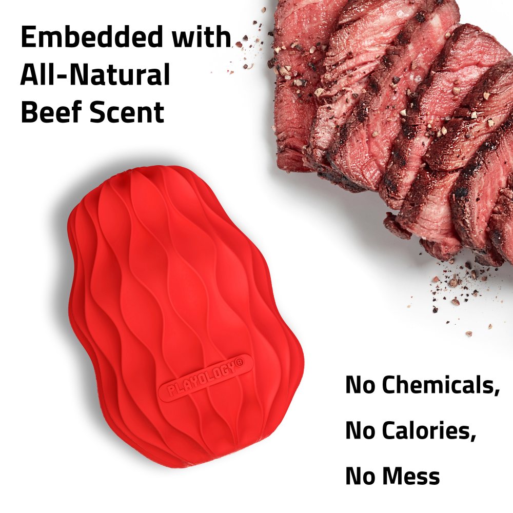 Squeaky Pinecone - Beef - Large