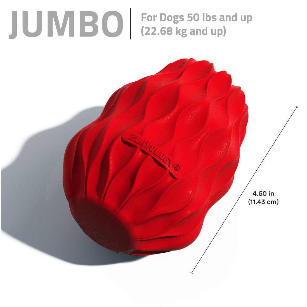 Squeaky Pinecone - Beef - Large