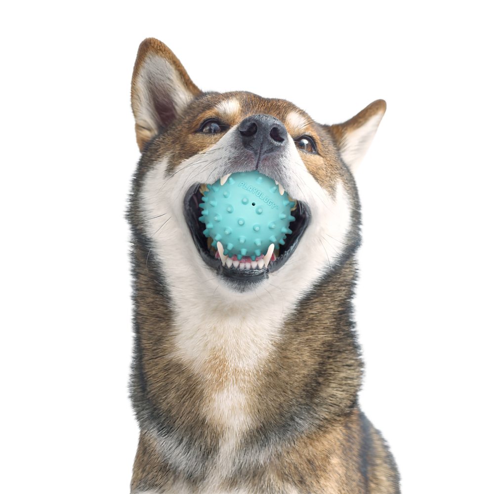 Spikey Squeaky Chew Ball - Peanut Butter - Medium