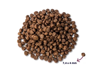 Renske Super Premium Puppy hondenvoeding