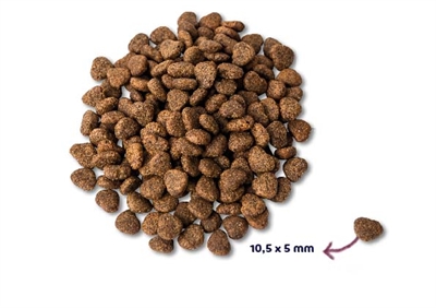 RENSKE Hondenvoer SUPER PREMIUM ADULT KIP - Graanvrij · Verse kip · Hypoallergeen - 2 kg