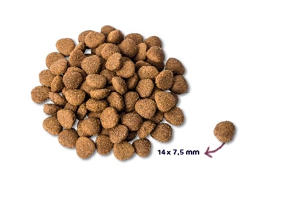 Renske Super Premium Adult hondenvoer Kalkoen / Eend
