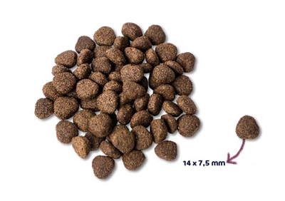 RENSKE SUPER PREMIUM ADULT ZALM GRAANVRIJ HYPOALLERGEEN