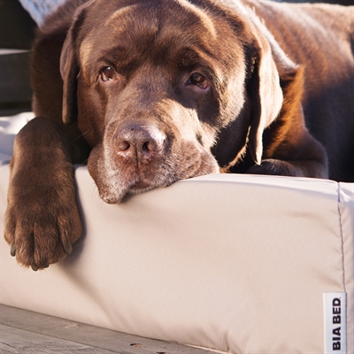 Bia Bed Outdoor Hondenmand