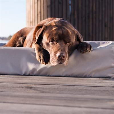 Bia Bed Outdoor Hondenmand