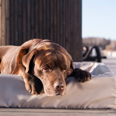 Bia Bed Outdoor Hondenmand