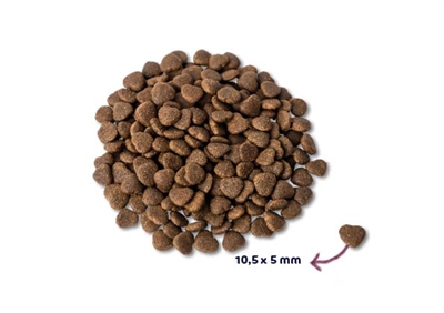 RENSKE Kattenvoer Super Premium Adult Verse Zalm 36% - Graanvrij, laag jodium - 6 kg