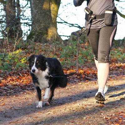 TRIXIE Heupriem met jogginglijn Pro Schokdempend anti-knoop met reflectie en opbergvakjes - Zwart - Taille 60-120 cm / Lijn 100-135 cm