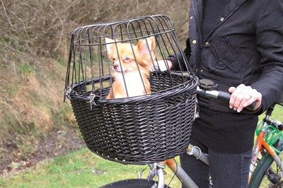 TRIXIE Fietsmand voorop Wilgen Met metalen kap & velours kussen - Zwart - 50x35x41 cm, max 5 kg