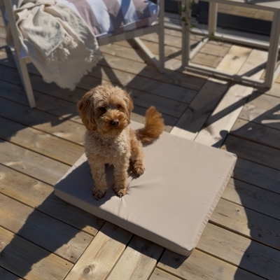 BIA BED MATRAS OUTDOOR LIGBED TAUPE