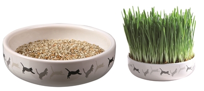 TRIXIE Kattengraszaad Set Keramiek 50 g - Kweek je eigen kattengras, keramische schaal met kattenprint - Wit/Grijs - 15x4 cm
