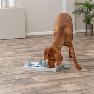 TRIXIE Hondenspel Dog Activity Chess - 4 kegels, gaten & schuiven voor mentale stimulatie, inclusief tipsboekje - Zwart/oranje/rood - 40x27x5 cm