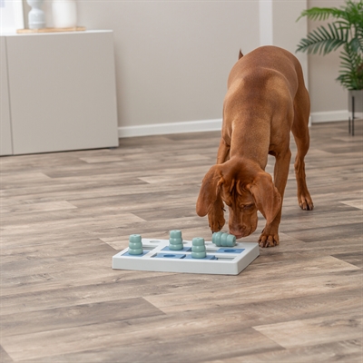 TRIXIE Hondenspel Dog Activity Chess - 4 kegels, gaten & schuiven voor mentale stimulatie, inclusief tipsboekje - Zwart/oranje/rood - 40x27x5 cm