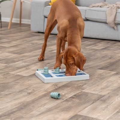 TRIXIE Hondenspel Dog Activity Chess - 4 kegels, gaten & schuiven voor mentale stimulatie, inclusief tipsboekje - Zwart/oranje/rood - 40x27x5 cm