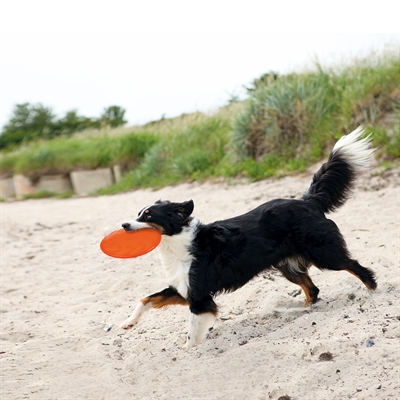 TRIXIE Rubber Frisbee O Soar Bijtvast natuurrubber, splintervrij & flexibel - Assorti - Ø 18 cm