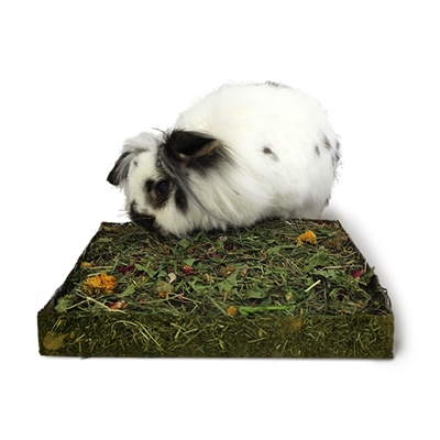 NATURALS Knaagsnack Rosewood Weiland Echte heide van le