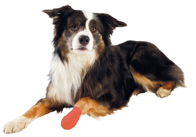 TRIXIE ZELFKLEVEND VERBAND ASSORTI