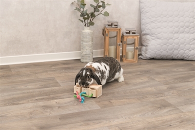 TRIXIE SNACK KUBUS HOUT