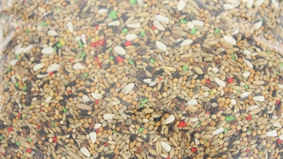 DE VRIES Grote Parkietenvoer Volledige uitgebalanceerde voeding boordevol granen en zaden - 2,5 kg