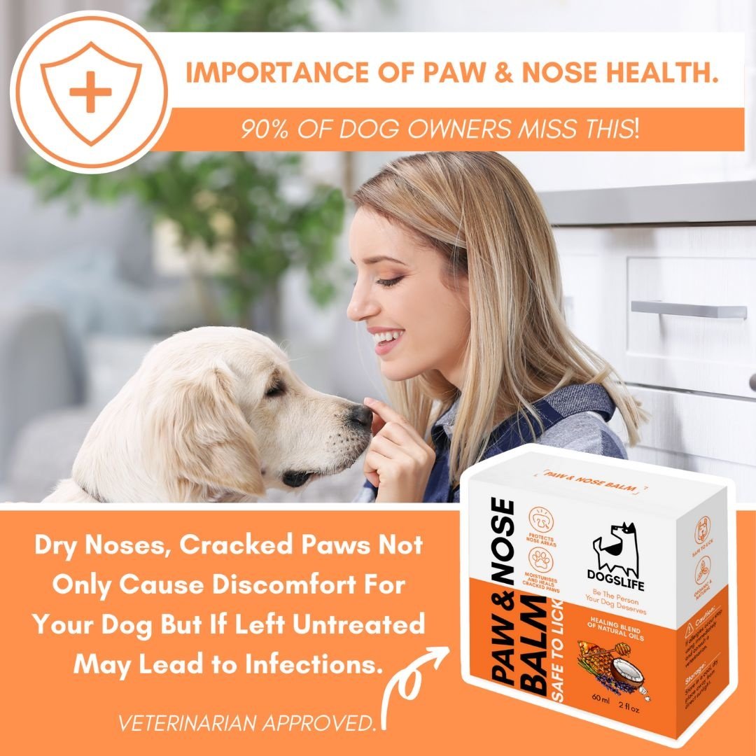 DogsLife Hondenbalsem Paw & Nose Balm – Verzorgt Pootjes en Neus