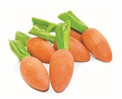 CRITTER'S CHOICE Knaaghout HAPPY PET Carrot Nibblers Wortelsmaak 6 stuks Hangbaar - Oranje - 8x3x3 cm