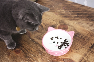 HAPPY PET Voerbak Kat Polka met kattengezicht keramiek - Roze/Crème - 300 ml