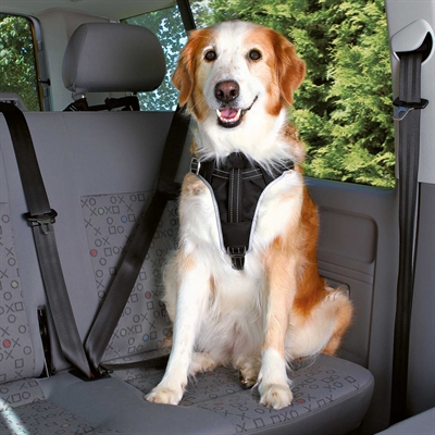 TRIXIE HONDENTUIG AUTO DOG PROTECT ZWART