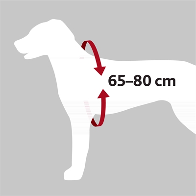 TRIXIE HONDENTUIG AUTO DOG PROTECT ZWART
