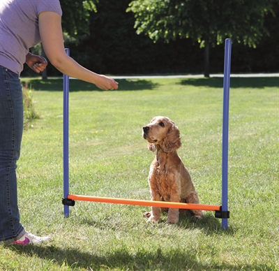 TRIXIE Dog Activity Agility Horde Traploos verstelbaar, snelle opbouw, incl. transporttas - Blauw/Oranje - 123x115x3 cm