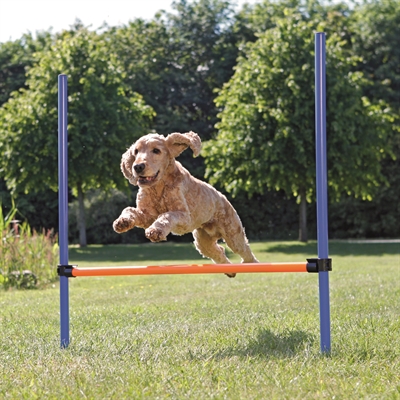 TRIXIE Dog Activity Agility Horde Traploos verstelbaar, snelle opbouw, incl. transporttas - Blauw/Oranje - 123x115x3 cm