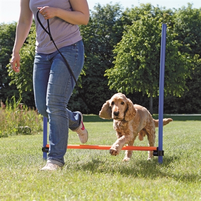 TRIXIE Dog Activity Agility Horde Traploos verstelbaar, snelle opbouw, incl. transporttas - Blauw/Oranje - 123x115x3 cm